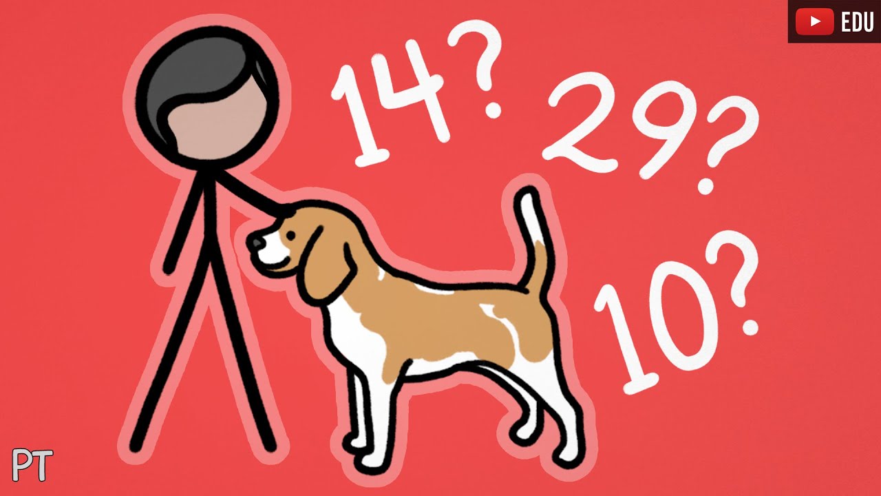 Por que a expectativa de vida não é igual pra todos | Minuto da Terra