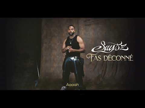 Says'z - T'AS DÉCONNÉ (Vidéo Lyrics)