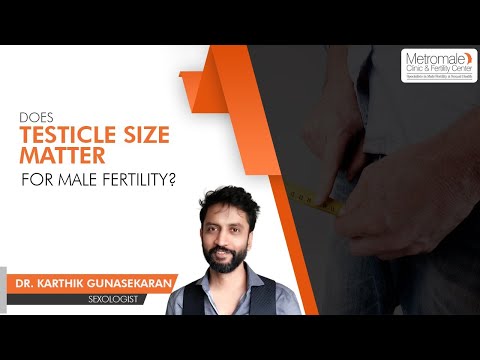Does Testicle Size Matter For Male Fertility | Metromale Clinic & Fertility Center