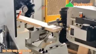 Máy làm mộng dương cnc 2 đầu 4 dao WM-D200AR