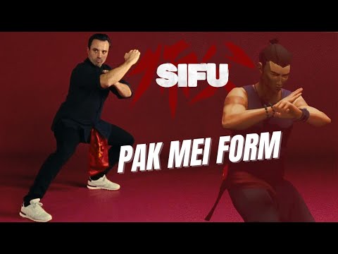 SIFU's Pak Mei Form: Lightning Hands