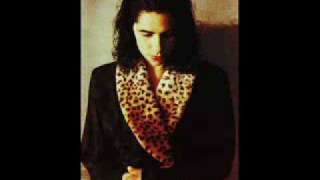 PJ Harvey   Reelin 4Track Demos