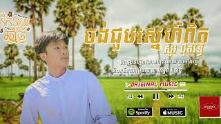 ចង់ជួបស្នេហ៍ពិត | Chorng Choub Snae Pet [Original Music]  - Sour Botrithy