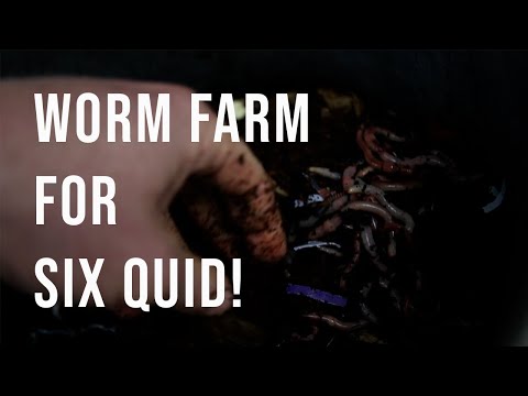 How I built a Worm farm for £6