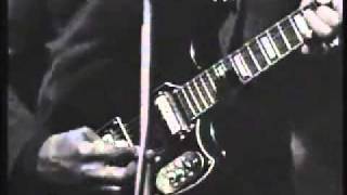 Muddy waters - Train fare Home Blues - live 1968