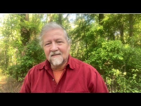 Judges 3, 4, 5  Ps  96