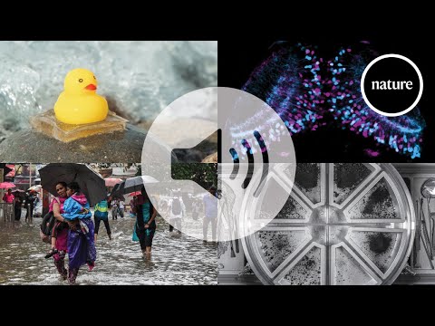 Nature's News & Views roundup of 2025
