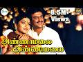 அண்ணாமலை அண்ணாமலை Annamalai Rajinikanth Kushboo Romance Duet Love Vi