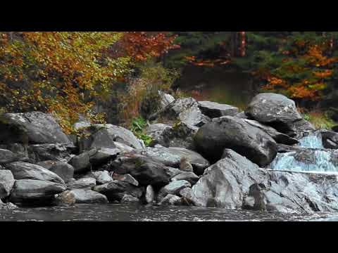 🎧 HD Quran recitation with nature river water sounds for sleeping | Quran for baby sleep