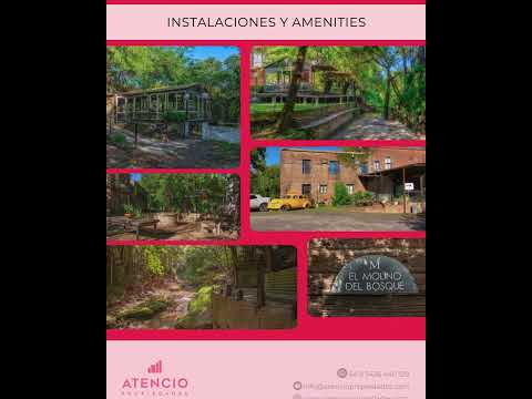 🏨 VENTA | Hotel El Molino – Complejo turístico histórico en Victoria, Entre Ríos 🌿