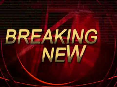 Trailer ALIEN SOSNOWIEC