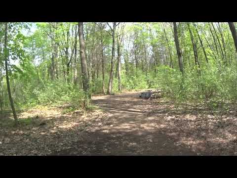 Walking into site 9 and 10 from the Potawatomi Trail.