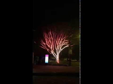 Tree of Light - Fire