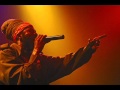 Capleton - I will survive