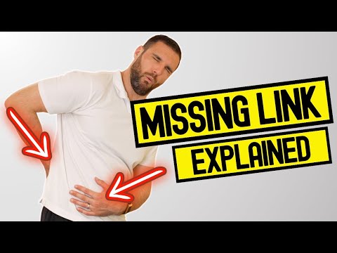 Gut Inflammation & Lower Back Pain: The Missing Link