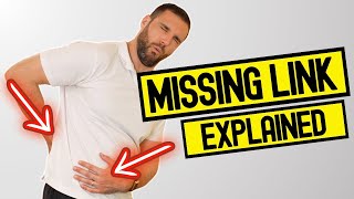 Gut Inflammation & Lower Back Pain: The Missing Link