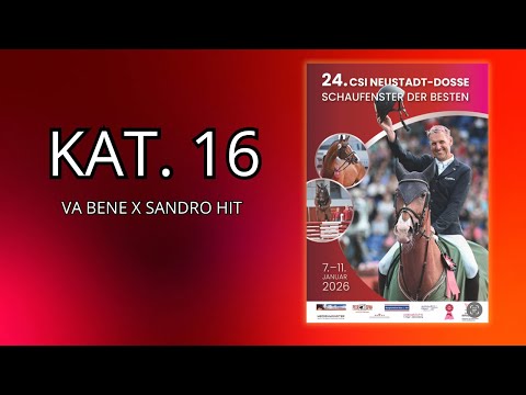 16 Va Bene - Sandro Hit - Schaufenster der Besten 2026 - Dressurhengste