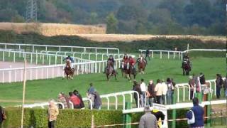 preview picture of video 'Lisieux 2011. Course de chevaux de trait. 16 octobre'