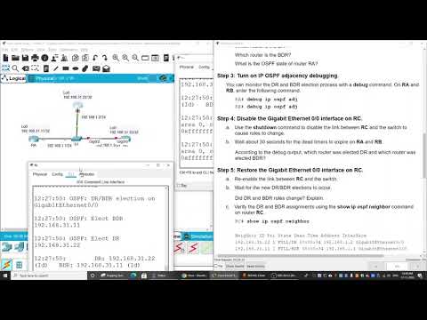 2.3.11 Determine the DR and BDR in OSPF process