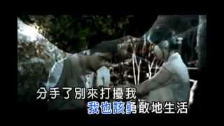 分手了别來打擾我-云菲菲