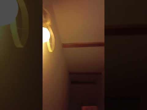 Vidéo