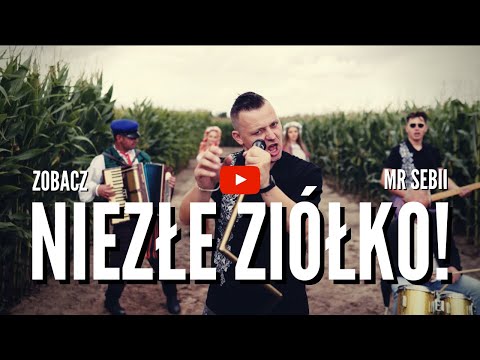 MR SEBII - NIEZŁE ZIÓŁKO (Official Video)  Must Be The Music Disco Polo