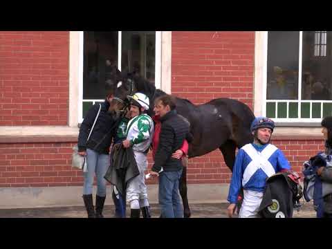 Galopprennbahn Dresden - 05.05.2019 - Rennen 3