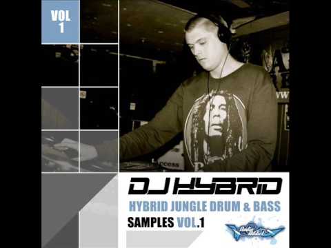 DJ Hybrid - Hybrid Jungle Drum & Bass Samples Vol  1