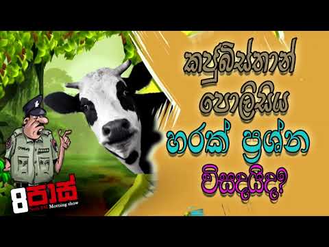 NETH FM 8 Pass Jokes 2020.12.02 | කජුබිස්තාන් පොලිසිය හරක් ප්‍රශ්න විසදයිද?