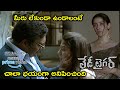 Watch Lady Tiger Full Movie On Amazon Prime Video చాలా భయంగా అనిపించ