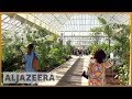 World S Largest Victorian Glasshouse Reopened In London Al Jazeera English