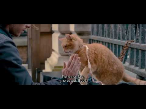 A Street Cat Named Bob