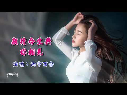 Em mong được gặp anh trong cuộc đời này (Qī dài jīn shēng yǔ nǐ xiāng jiàn - 期待今生与你相见) - Lily