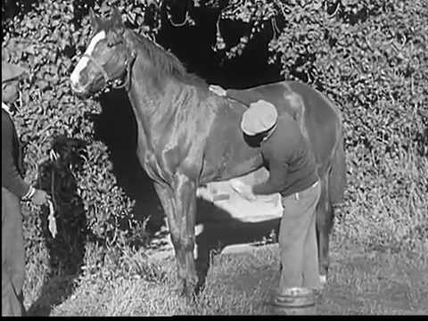 Horsepower (1937)