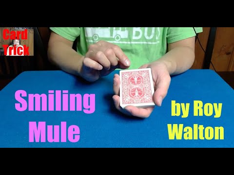 Smiling Mule | Sleight of Hand Card Magic