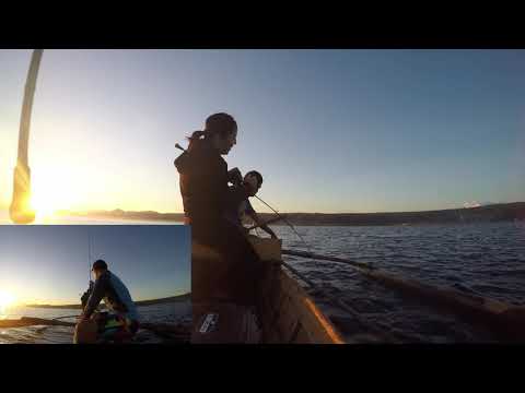 LADY JIGGER | TAKI'S | FIRST KING MACKEREL | FIRST DOUBLE DIGIT |