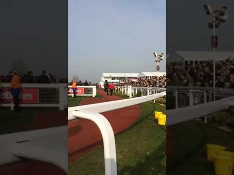 Ladbrokes World Hurdle 2014