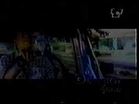 No es amigo el corazon- los diablitos