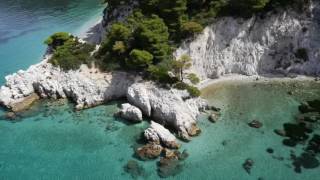 Blew&#39;s Vacation In The Big Stinkin&#39; City | Bon Voyage SkyBlew!