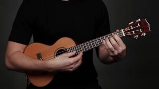 "Away In a Manger" Performance / Solo Fingerstyle Christmas Songs