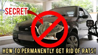 How to STOP RATS from entering your car | Get RID of Rats HIDING in a car | PERMANENT FIX | JRS Cars