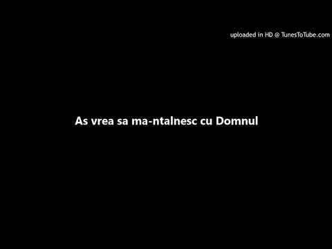 Pastean Vasile - As vrea sa ma-ntalnesc cu Domnul