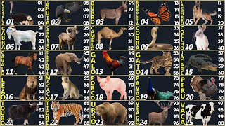TABELA DO JOGO DO BICHO ANIMAIS E DEZENAS| PALPITES OURO