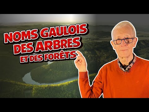 GAULISH NAMES FOR FORESTS AND WOODS