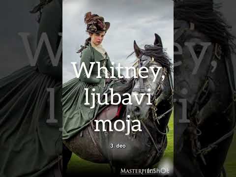 Whitney, ljubavi moja - Džudit Meknot 3. deo