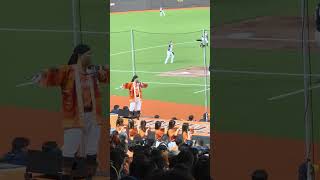 【Unigirls】 #三振 台灣大賽G3@台北ドーム(台北大巨蛋) 20241022 #台湾チア #cheerdance #unigirls