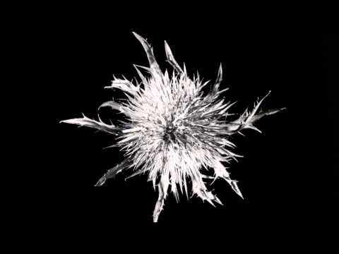 Lenny Kravitz-If You Can't Say No(Disco Syndicate Mix)