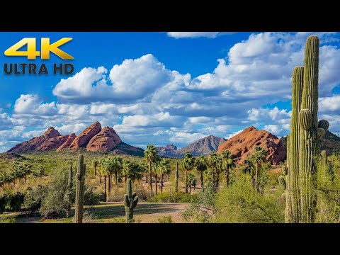 Phoenix to Tucson Complete Arizona Scenic Drive 4K
