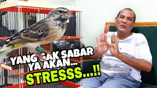 Download lagu BELAJAR LANGSUNG DARI MASTERNYA BLACKTHROAT ( TISANI BF ) mp3 Download lagu BELAJAR LANGSUNG DARI MASTERNYA BLACKTHROAT ( TISANI BF ) mp3