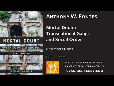 Latin American Gangs: A Complex Web of Violence and Power | Vibepedia